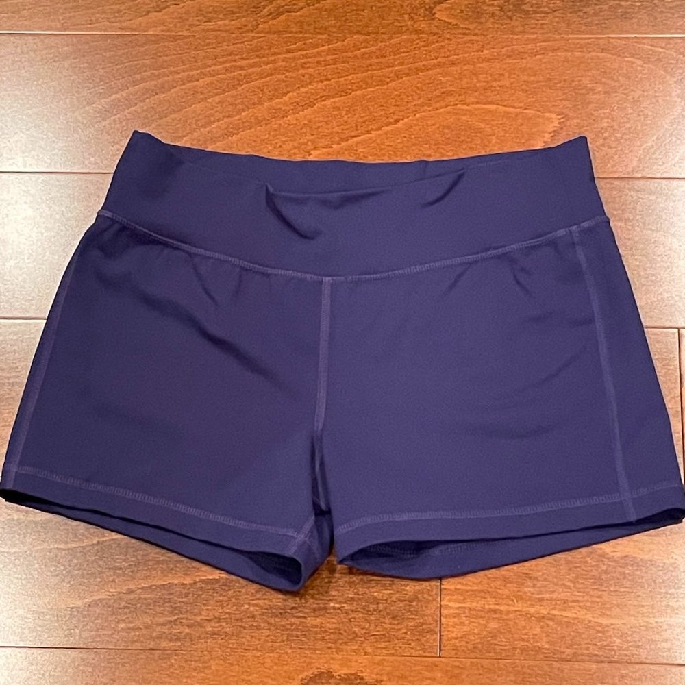 Patagonia Pliant Nylon Spandex Shorts, Size Large